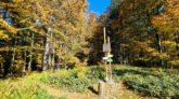 Beskid Niski - Kolanin