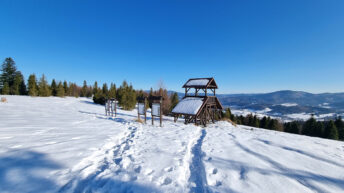 Beskid Żywiecko-Kysucki - Rachowiec,